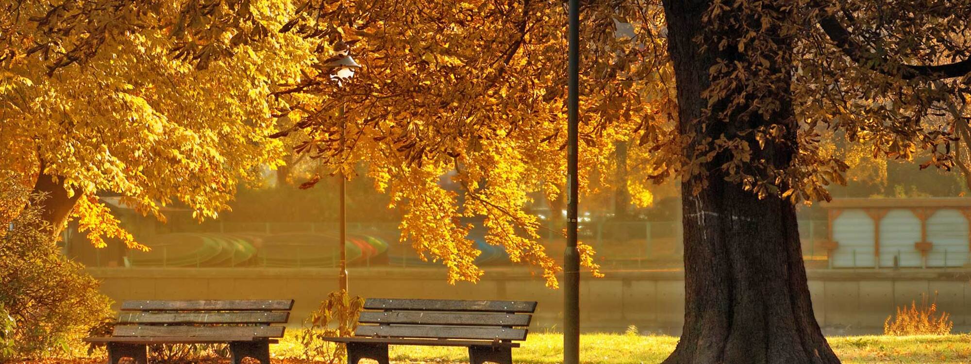 Park in Chemnitz