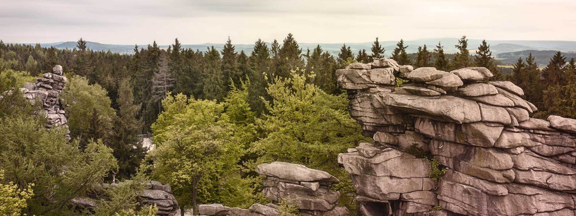 [Translate to English:] Erzgebirge